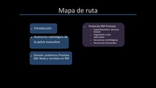 El protocolo de prostata