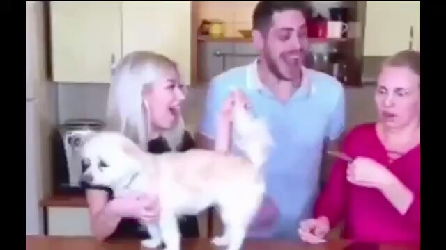 People are totally dumbfounded.