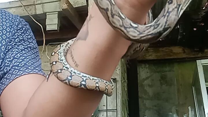 snakie