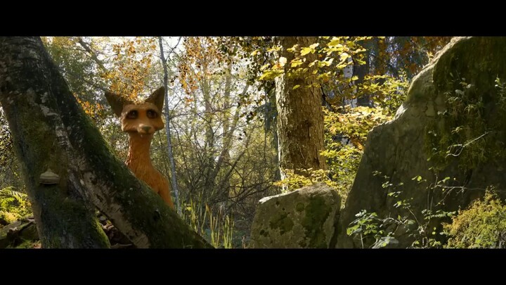 The Fox and the Bird - _HD
