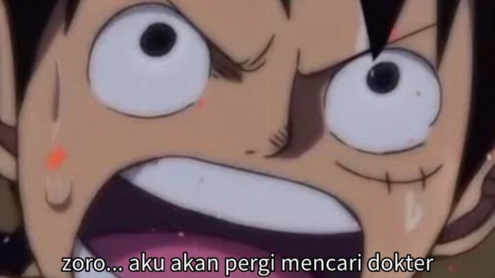 Demi Loki, Luffy Ingin Memanggil Dokter Untuk Mengobatinya