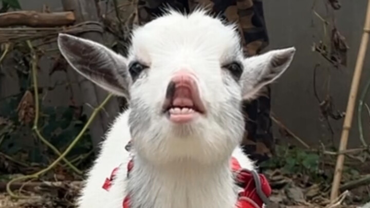 เรามีสวนเล็กๆ ทางภาคเหนือแล้ว!!!