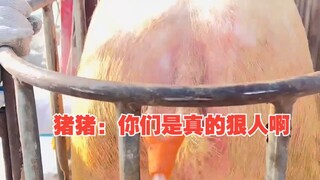 จูจู: พวกคุณช่างใจร้ายจริงๆเลยนะ