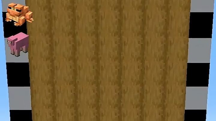 MINECRAFT PLACING BLOCKS CHALLENGE! 🧱