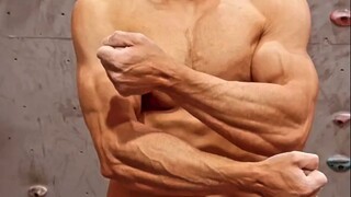 上半身最好的自重运动