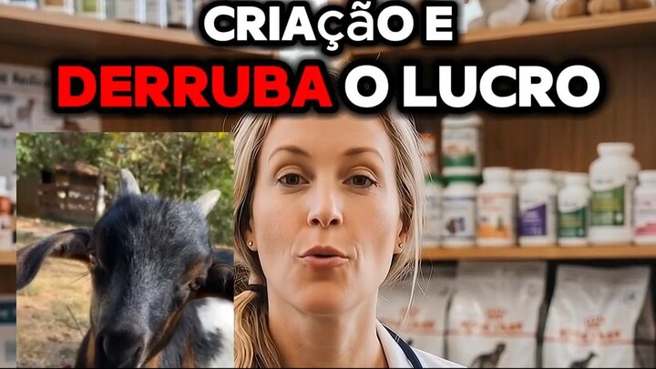 Cordeiro Nobre 2kg Suplemento Sal Mineral Caprino Ovino e PotenVet 100ml Vitamin
