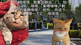 【猫meme】去山里住了一个月回来发现我已经“死了”