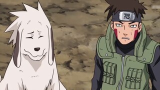 Nhân vật Naruto: Ôm con dâm đãng nhất thế giới ninja! Anh trai Shiden đã khiến Ino khóc và khiến Sak