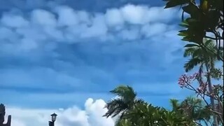 【 送货 】🌷用脚步对世界说~咱没有躺赢的命，就一起结伴狂奔[强]