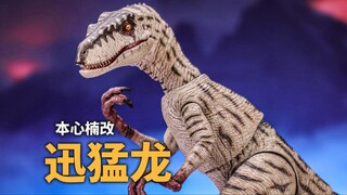 小白龙，你好骚啊！本心楠改迅猛龙/大猩猩开箱