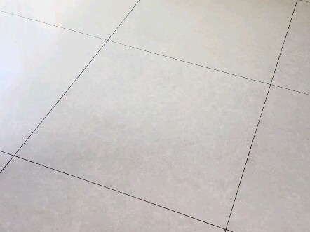 หมาต่างขั้ว