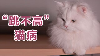 Chỉ khi nhảy lên nơi cao, mới có thể đến gần ánh sáng hơn, xa bóng tối hơn