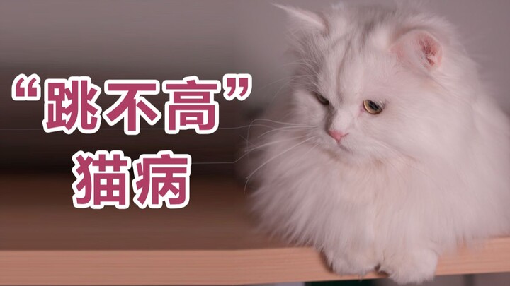 Hanya dengan melompat ke tempat yang lebih tinggi, kita bisa lebih dekat dengan cahaya dan lebih jau