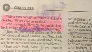 Daily Verse.                            Genesis 33:1-5