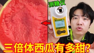 Just how sweet is the "Dream Love Melon" recommended by a livestreamer? Is it really delicious?