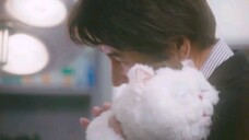 A Man and his cat (2021) ep 4 eng sub live action drama