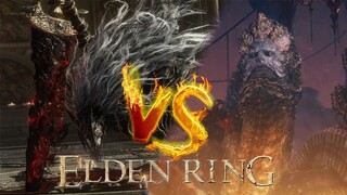 Elden Ring | BvB 👉🤩 LORD OF BLASPHEMY🆚MALIKETH