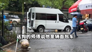 第一次网上买狗是一种什么样的体验？