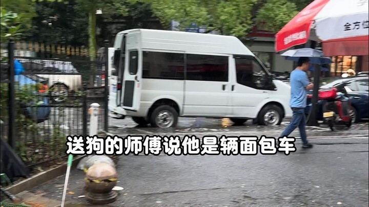 第一次网上买狗是一种什么样的体验？