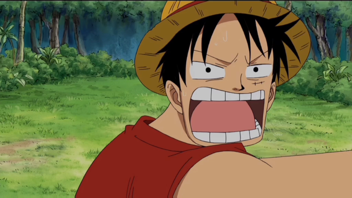 One Piece Funny moment