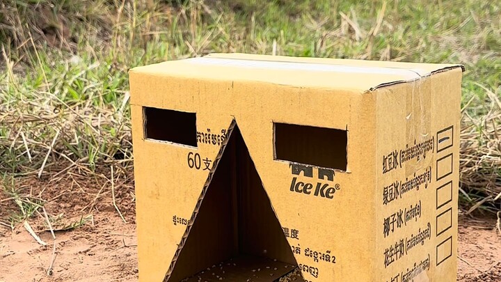 [World Curiosities Commentary] Video is loading—hurry and check out the surprise!