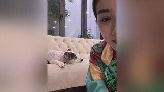Ko cho mượn thôi sao liết quá 😅😅TikTokGGVN PhimHayMoiNgay #LucMoiYeu