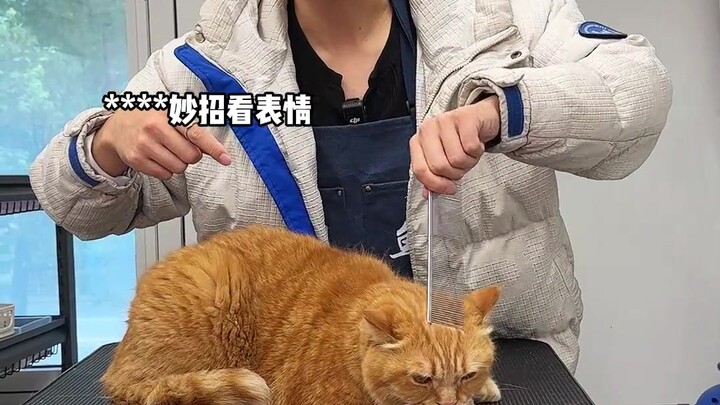 الإله الحربي قادم، احترس وتجنبه!