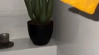 我以为是模仿，没想到是超越