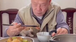 Momen mengharukan antara orang tua dan kucing