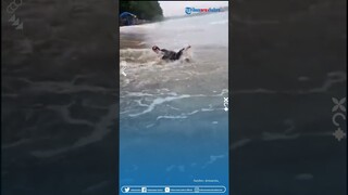 Ketika Air Menolak Dikendalikan! Momen Cewek Bikin Konten Avatar Malah Berujung Kalah Sama Ombak