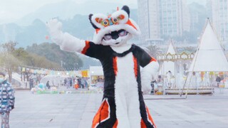 【MORE】今年第一支舞~致敬我最爱的大猫咪~懂得都懂是哪只橘色大猫咪(*/ω＼*)