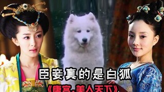 [Chong Ge] Demonic interpretation of the black-bellied Li Zhi teasing the Samoyed concubine in the l