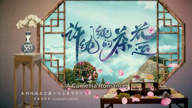 A camellia romance