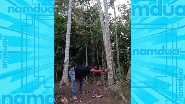 Tahan tawa 😂 kumpulan video lucu bikin ngakak! Asupan meme absurd part 2mauketawatakutdosa