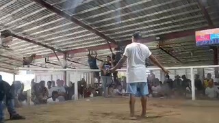 panalo po tau ulit
