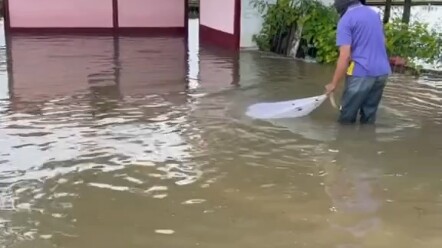 Our village chief said that we should all be self-reliant in this flood, so we decided to make a liv