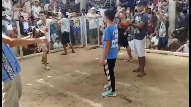 9months old kelso bulik