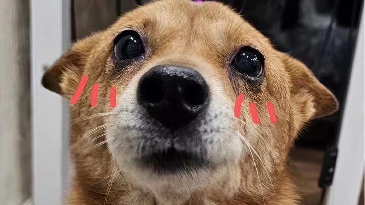 Ôm lấy em bé nhỏ xíu của anh, rồi ôm đi cả con người lớn lao của em – điều không đổi chính là anh vẫ