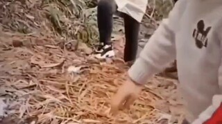 违背祖宗的决定