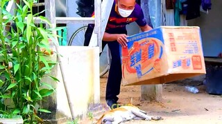 Super Funny video 2022, Best Prank Ever