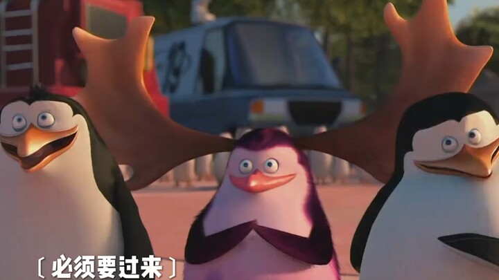 “Tim Angin Utara telah memberikan perlengkapan baru kepada para penguin, dan pemula itu kini juga su