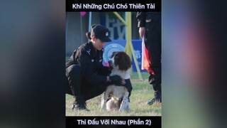 xuhuongtiktok chó_cưng phimhay phim bietdoinuchienlang phimtet2022 phimtet2022