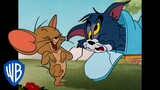 Tom y Jerry en Español 🇪🇸 | Bromistas de nacimiento | @WBKidsEspana
