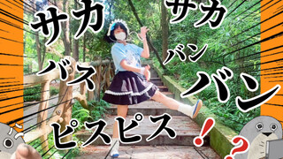 【浣浣】萨卡萨卡班班甲鱼鱼/サカサカバンバンバスピスピス【即兴】