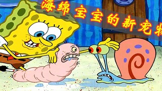 海绵宝宝喜提新宠物虫宝宝，小蜗吃醋给扫地出门