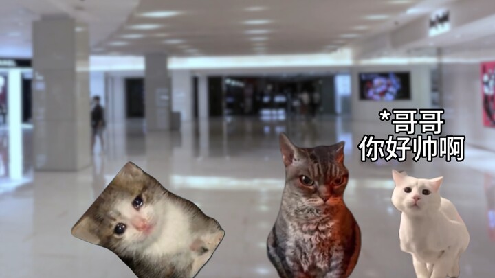 你怎么敢动我老妈？