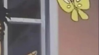 【Monthly Zone 2 Series】MEMES Happy Moments #1