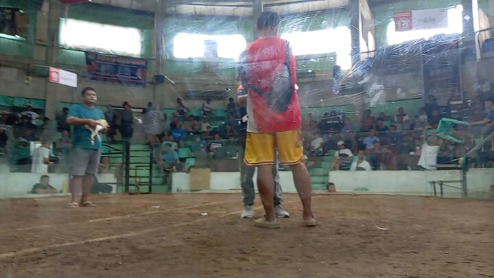 White Kelso win sira laro ng kalaban