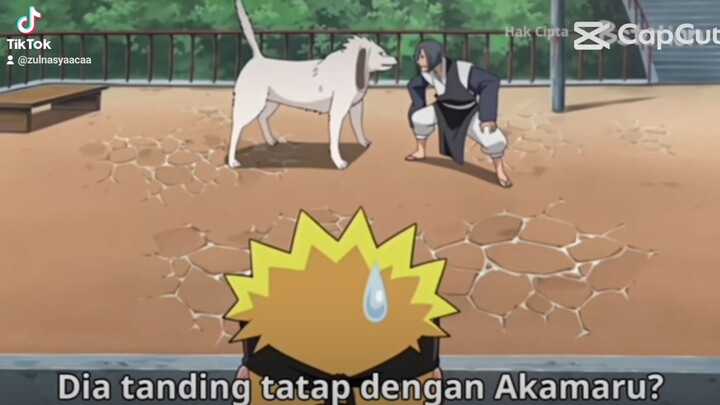 ketika Shinobi gabut gk ada misi🗿