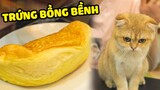 Làm món TRỨNG BỒNG BỀNH cực hot cùng các bé mèo | The Happy Pets #49